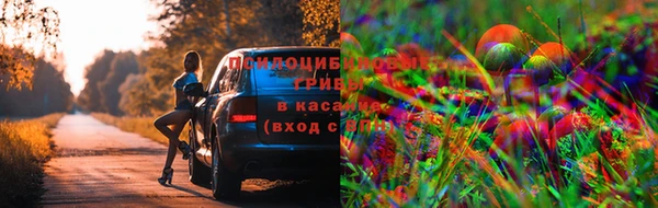 каннабис Алексеевка