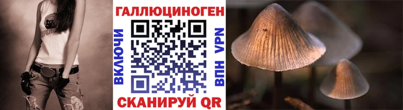 Псилоцибиновые грибы Psilocybine cubensis  Орехово-Зуево 